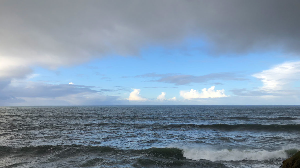 The morning horizon over the Pacific Ocean, viewed from the cliffs of the Long Marine Lab at University of California, Santa Cruz. Photo by Ben Young Landis.