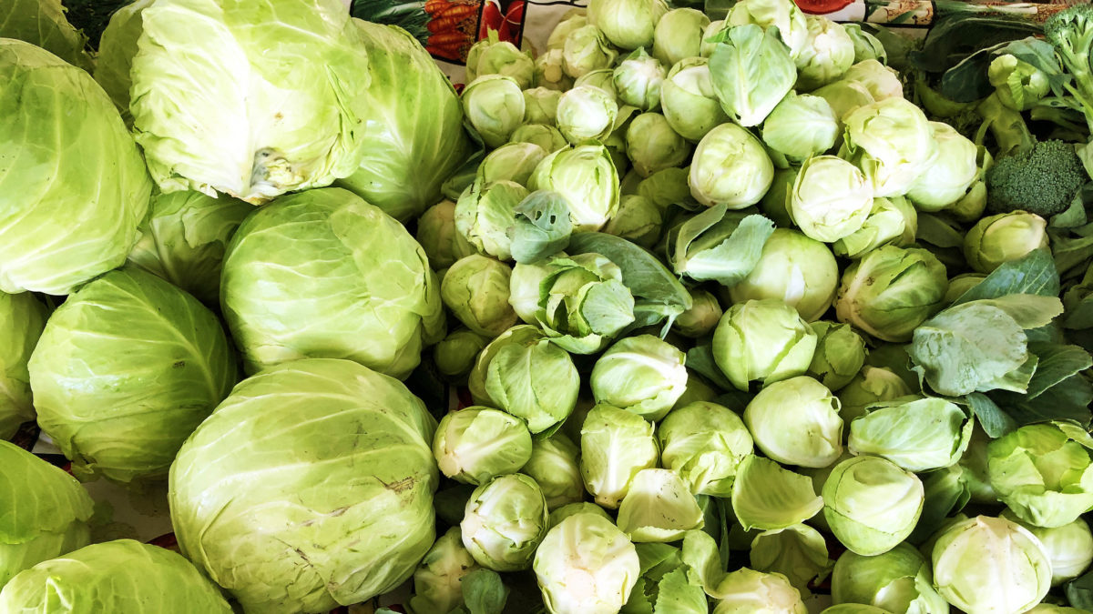 A farmer's market stand in Sacramento, California in December 2019. Several large heads of cabbage are at the left of the shot, while tens of smaller, egg-sized cabbage are spread out to the right, with a few florets of broccoli. (Photo by Ben Young Landis)
