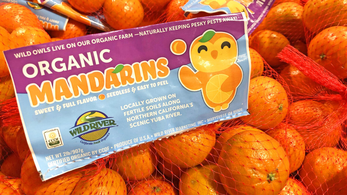 "Mandy Mandarin" packaging design for Wild River Fruit by Ben Young Landis and Guy Rogers, as seen at a Nugget Market in West Sacramento, California. Part of the "Our Owl Friends" branding series. (Photo by Ben Young Landis. Our Owl Friends is a trademark of Wild River Marketing, Inc.)